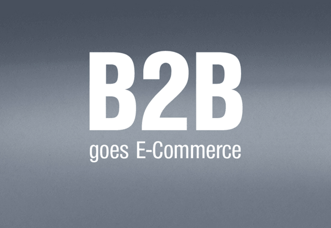 B2B-Online-Shops