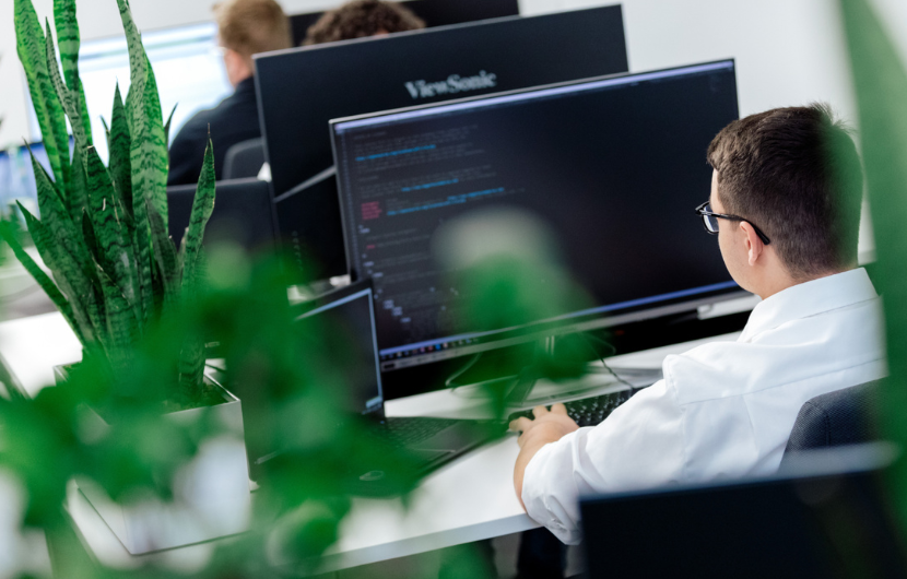 Pflanzen bei ECONSOR