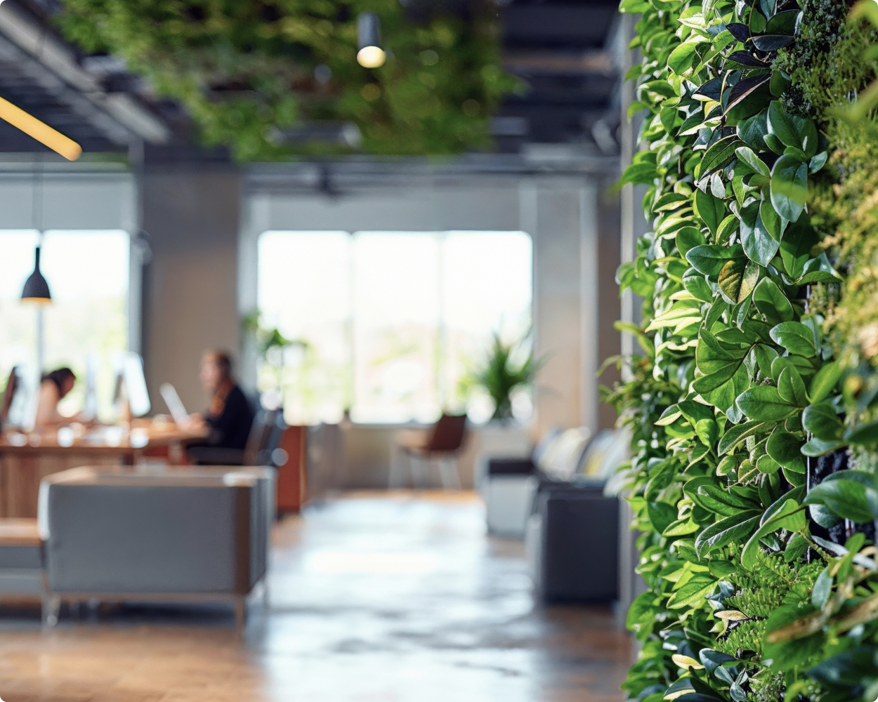 Ein Büro mit einer Grünwand von art aqua voller Pflanzen steht im Fokus.