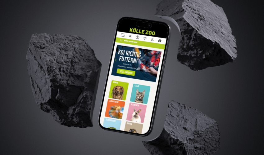 Ein Smartphone schwebt zwischen mehreren Steinen. Auf dem Bildschirm des Smartphones ist der Kölle Zoo-Shop abgebildet.