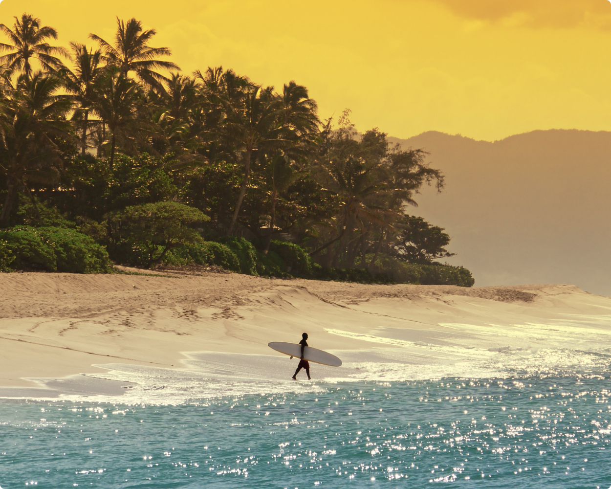 Mockup der toms travel Website auf zwei Smartphones