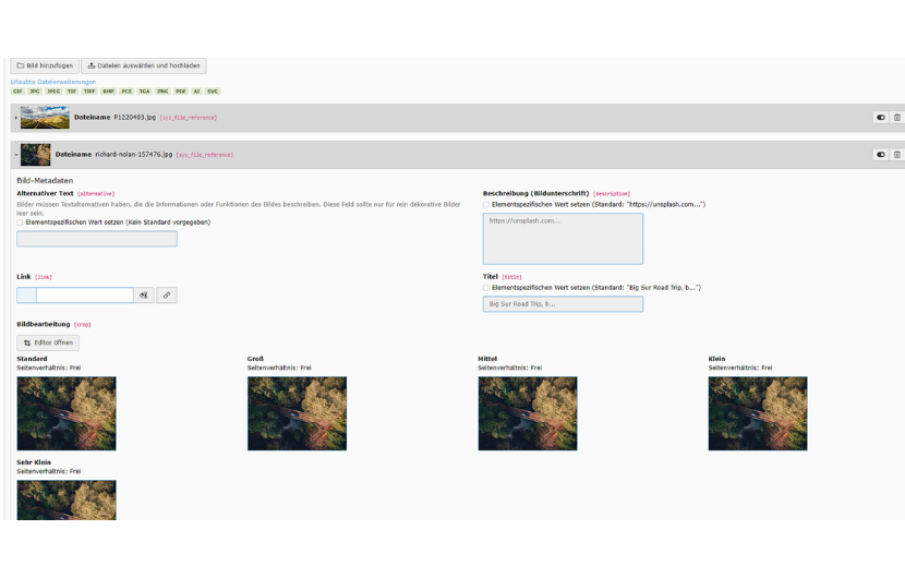 typo3-demo-bilder-backend Screenshot von dem TYPO3 Bildelement