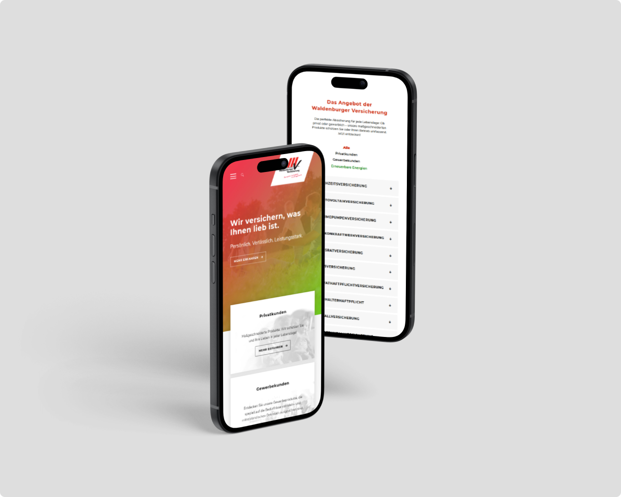waldenburger_Übersicht Mockup